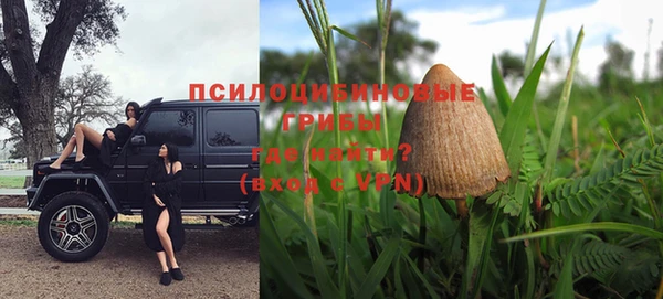 стафф Белокуриха
