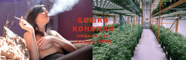стафф Белокуриха