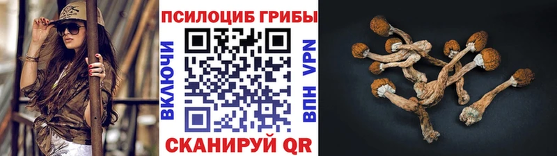 Галлюциногенные грибы прущие грибы Беслан